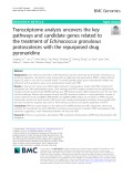 Transcriptome analysis uncovers the key pathways and candidate genes related to the treatment of Echinococcus granulosus protoscoleces with the repurposed drug pyronaridine