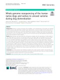 Whole genome resequencing of the Iranian native dogs and wolves to unravel variome during dog domestication