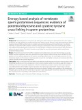 Entropy based analysis of vertebrate sperm protamines sequences: Evidence of potential dityrosine and cysteine-tyrosine cross-linking in sperm protamines