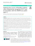 Exploring the success of Brazilian endemic clone Pseudomonas aeruginosa ST277 and its association with the CRISPR-Cas system type I-C