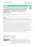 The CaCA superfamily genes in Saccharum: Comparative analysis and their functional implications in response to biotic and abiotic stress