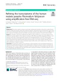 Refining the transcriptome of the human malaria parasite Plasmodium falciparum using amplification-free RNA-seq