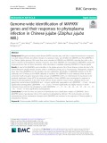 Genome-wide identification of MAPKKK genes and their responses to phytoplasma infection in Chinese jujube (Ziziphus jujuba Mill.)