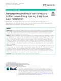 Transcriptome profiling of non-climacteric ‘yellow’ melon during ripening: Insights on sugar metabolism