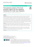 Transcriptome analysis of the brain provides insights into the regulatory mechanism for Coilia nasus migration
