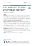 In silico identification and assessment of insecticide target sites in the genome of the small hive beetle, Aethina tumida