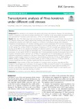 Transcriptomic analyses of Pinus koraiensis under different cold stresses