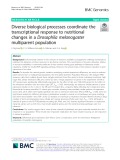 Diverse biological processes coordinate the transcriptional response to nutritional changes in a Drosophila melanogaster multiparent population