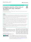Comparative genomics of four strains of the edible brown alga, Cladosiphon okamuranus