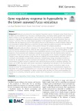 Gene regulatory response to hyposalinity in the brown seaweed Fucus vesiculosus