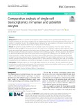 Comparative analysis of single-cell transcriptomics in human and zebrafish oocytes