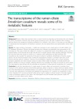 The transcriptome of the rumen ciliate Entodinium caudatum reveals some of its metabolic features