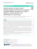 Genetic deletion of Sphk2 confers protection against Pseudomonas aeruginosa mediated differential expression of genes related to virulent infection and inflammation in mouse lung