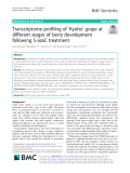 Transcriptome profiling of ‘Kyoho’ grape at different stages of berry development following 5-azaC treatment