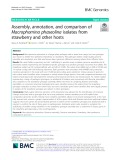 Assembly, annotation, and comparison of Macrophomina phaseolina isolates from strawberry and other hosts