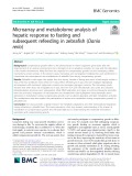Microarray and metabolome analysis of hepatic response to fasting and subsequent refeeding in zebrafish (Danio rerio)
