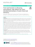 From bud formation to flowering: Transcriptomic state defines the cherry developmental phases of sweet cherry bud dormancy