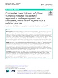 Comparative transcriptomics in Syllidae (Annelida) indicates that posterior regeneration and regular growth are comparable, while anterior regeneration is a distinct process