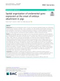 Spatial organization of endometrial gene expression at the onset of embryo attachment in pigs