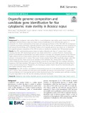 Organelle genome composition and candidate gene identification for Nsa cytoplasmic male sterility in Brassica napus