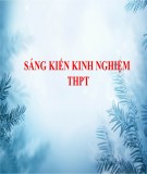 Sáng kiến kinh nghiệm THPT: Rèn luyện kỹ năng vận dụng kiến thức thực tiễn cho học sinh qua nội dung Hàng hóa - Giáo dục công dân 11