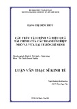 Luận văn Thạc sĩ Kinh tế: Cấu trúc tài chính và hiệu quả tài chính của các doanh nghiệp nhỏ và vừa tại Tp. Hồ Chí Minh