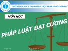 Bài giảng Pháp luật đại cương: Chương 10 - TS. Nguyễn Nam Hà