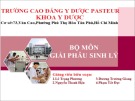 Bài giảng Giải phẫu sinh lý: Giải phẫu sinh lý hệ hô hấp