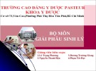 Bài giảng Giải phẫu sinh lý: Giải phẫu sinh lý thận niệu