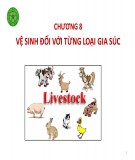 Bài giảng Vệ sinh thú y 2 (Veterinary Hygiene): Chương 8 - Nguyễn Thu Thủy