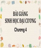 Bài giảng Sinh học đại cương - Chương 4