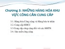 Bài giảng Kinh tế công cộng: Chương 3 - PGS.TS. Phí Mạnh Hồng