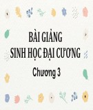 Bài giảng Sinh học đại cương - Chương 3