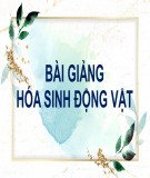 Bài giảng Hóa sinh động vật - Chuyển hóa carbohydrate