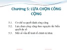 Bài giảng Kinh tế công cộng: Chương 5 - PGS.TS. Phí Mạnh Hồng