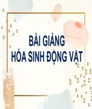 Bài giảng Hóa sinh động vật - Màng sinh học và sự vận chuyển qua màng