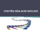 Bài giảng Chuyển hóa acid nucleic - Võ Hồng Trung