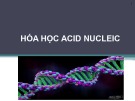 Bài giảng Hóa học acid nucleic - ThS. Huỳnh Thị Thu Hương