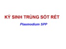 Bài giảng Ký sinh trùng sốt rét (Plasmodium SPP)
