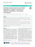 Cadmium-induced genome-wide DNA methylation changes in growth and oxidative metabolism in Drosophila melanogaster