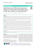 Identification and differential expression analysis of anthocyanin biosynthetic genes in leaf color variants of ornamental kale