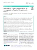 Multi-species transcriptome analyses for the regulation of crocins biosynthesis in Crocus