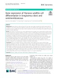 Gene expression of Hanwoo satellite cell differentiation in longissimus dorsi and semimembranosus