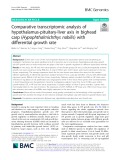 Comparative transcriptomic analysis of hypothalamus-pituitary-liver axis in bighead carp (Hypophthalmichthys nobilis) with differential growth rate