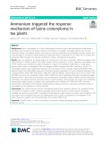 Ammonium triggered the response mechanism of lysine crotonylome in tea plants
