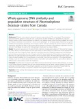 Whole-genome DNA similarity and population structure of Plasmodiophora brassicae strains from Canada
