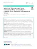 Waking the sleeping dragon: gene expression profiling reveals adaptive strategies of the hibernating reptile Pogona vitticeps