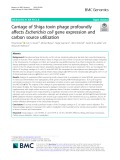 Carriage of Shiga toxin phage profoundly affects Escherichia coli gene expression and carbon source utilization