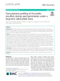 Transcriptome profiling of Puccinellia tenuiflora during seed germination under a long-term saline-alkali stress