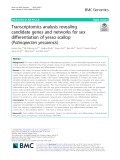 Transcriptomics analysis revealing candidate genes and networks for sex differentiation of yesso scallop (Patinopecten yessoensis)